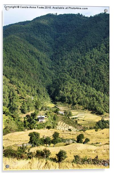  Eastern Himalaya Bhutan Acrylic by Carole-Anne Fooks
