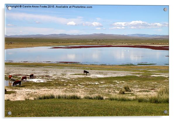  Gun Galuut, Mongolia Acrylic by Carole-Anne Fooks