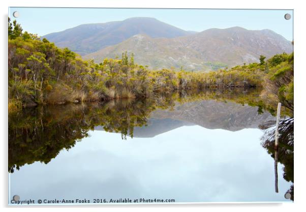 Melaleuca Creek Tasmania Acrylic by Carole-Anne Fooks