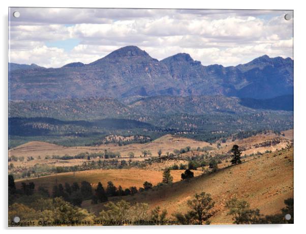 Wilpena Pound, Flinders Ranges in the Spring Acrylic by Carole-Anne Fooks