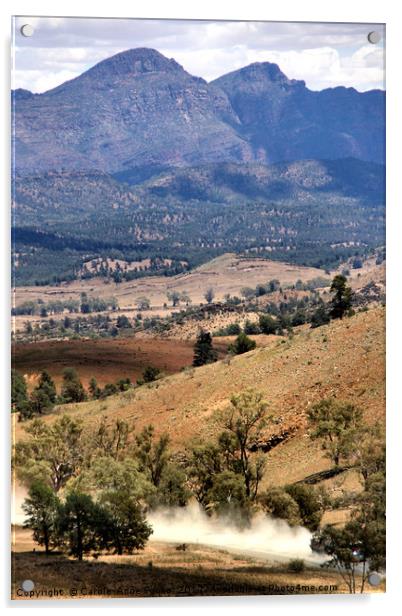 Wilpena Pound, Flinders Ranges in the Spring Acrylic by Carole-Anne Fooks