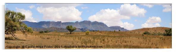 Panorama of the Elder Range, Flinders Ranges Acrylic by Carole-Anne Fooks