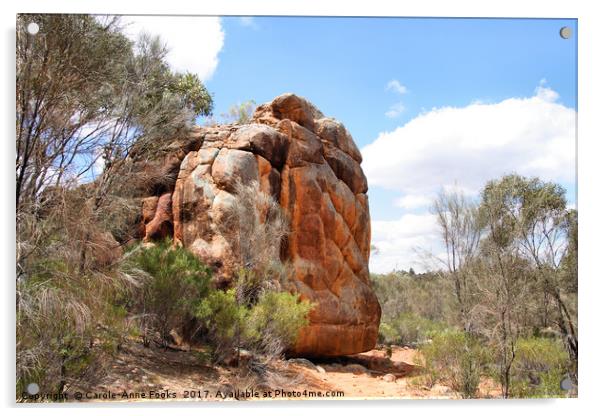 Flinders Ranges, South Australia Acrylic by Carole-Anne Fooks