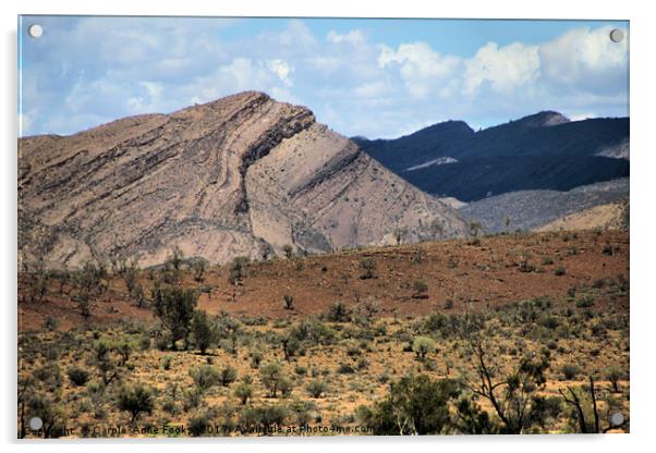 Mount Carnarvon, Flinders Ranges Acrylic by Carole-Anne Fooks