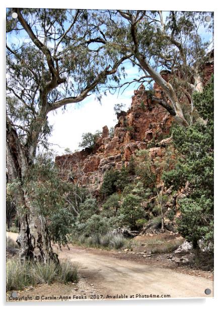 Warren Gorge, Flinders Ranges Acrylic by Carole-Anne Fooks