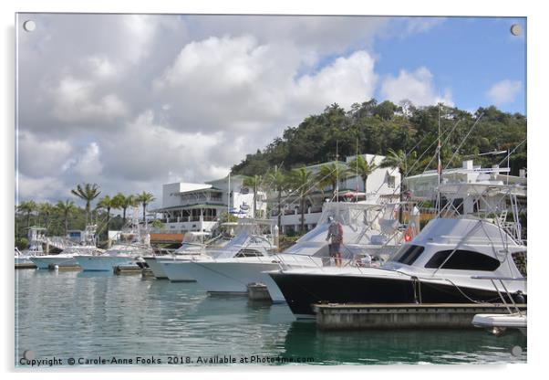 The Harbour at Quepos Acrylic by Carole-Anne Fooks