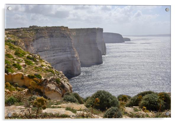 Gozo Malta Acrylic by Carole-Anne Fooks