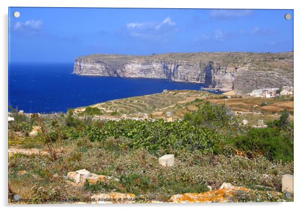 Gozo Malta Acrylic by Carole-Anne Fooks