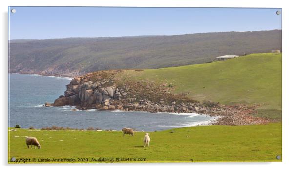 Cape Willoughby Acrylic by Carole-Anne Fooks