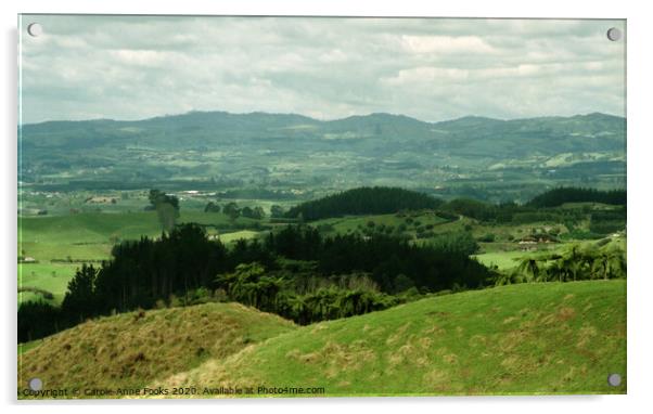 Bay of Plenty, New Zealand Acrylic by Carole-Anne Fooks