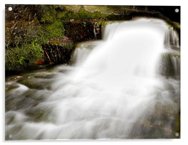 Keston Falls Acrylic by Thomas Dentith Barnard