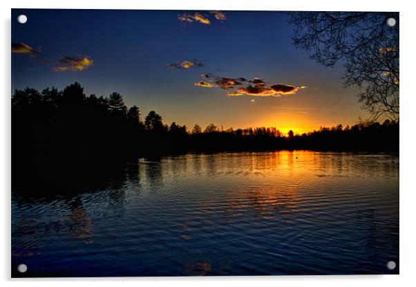 Sherwood Forest Sunset Acrylic by Chris Andrew