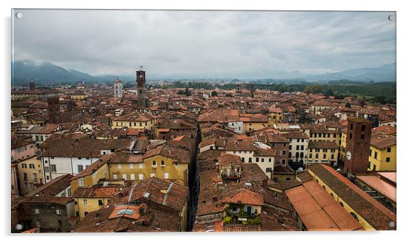  Lucca Acrylic by Dave Wragg