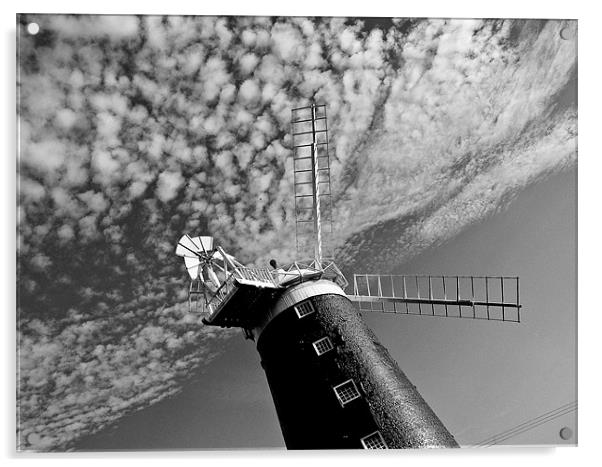 Tilting at windmills Acrylic by Marc Melander