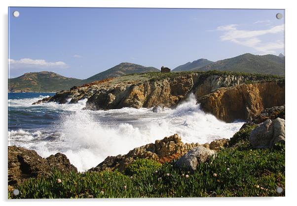 Windy day in Galéria, Corsica Acrylic by Michelle PREVOT