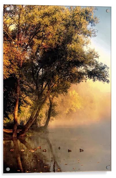 Rococo Acrylic by Gabor Dvornik