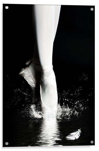 Swan Lake Acrylic by Gabor Dvornik