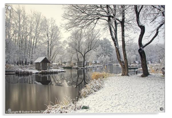 Winter silence Acrylic by Gabor Dvornik