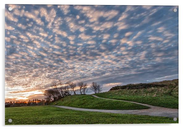 Mackerel Sky in the Park Acrylic by Rob Lester