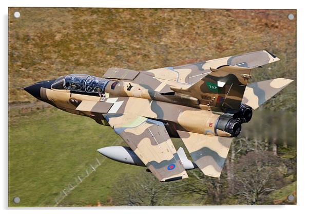 RSAF Tornado IDS Acrylic by Lloyd Horgan