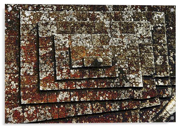 Lichen on a Stone Roof Acrylic by Andrew Rickinson
