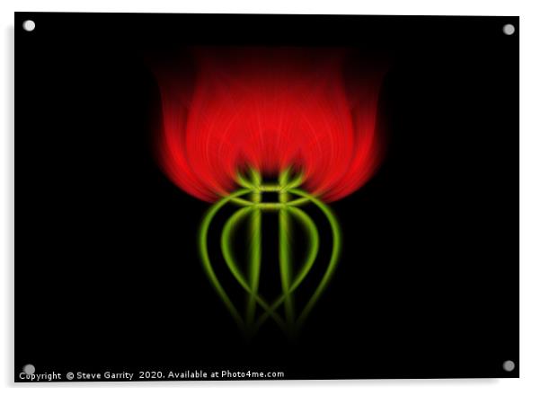 Twisted Rose Acrylic by Steve Garrity