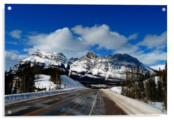 Icefields Parkway Canadian Rockies Canada Acrylic by Andy Evans Photos