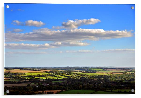 South Downs Beacon Hill Hampshire England Acrylic by Andy Evans Photos
