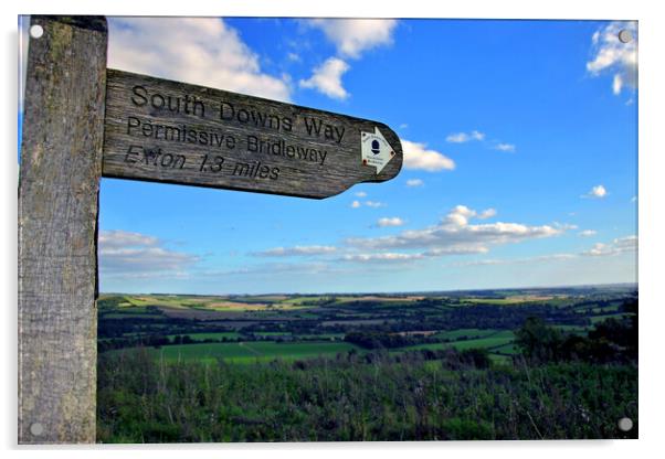 South Downs Beacon Hill Hampshire England Acrylic by Andy Evans Photos