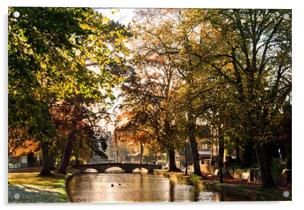 Bourton on the Water Autumn Trees Cotswolds UK Acrylic by Andy Evans Photos