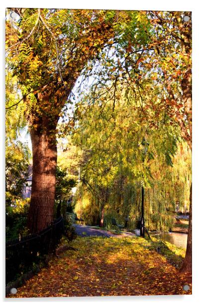 Bourton on the Water Autumn Trees Cotswolds UK Acrylic by Andy Evans Photos