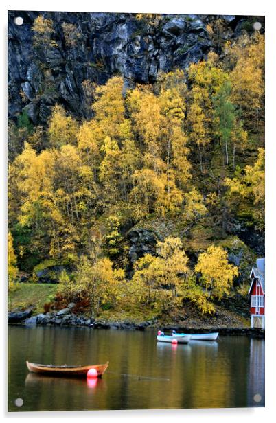 Majestic Aurlandsfjord in Norway Acrylic by Andy Evans Photos