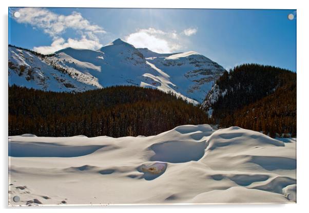 'Canadian Rockies: A Frozen Wonderland' Acrylic by Andy Evans Photos