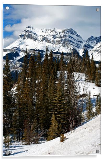 Canada's Frozen Highway: Icefields Parkway Acrylic by Andy Evans Photos