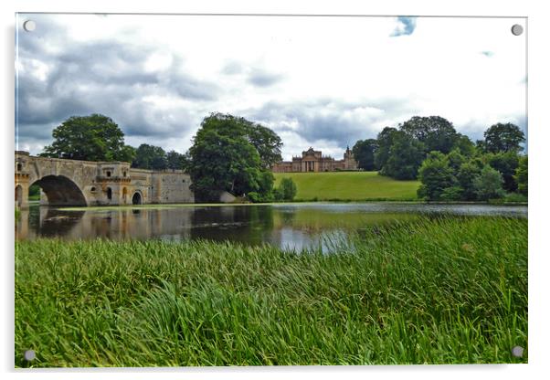 Grounds of Blenheim Palace Woodstock Oxfordshire England UK Acrylic by Andy Evans Photos
