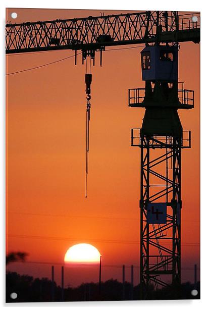 Crane at Sunset Acrylic by Andy Evans Photos