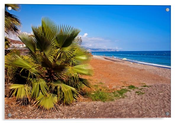 Palm trees Torrox Costa Del Sol Spain Acrylic by Andy Evans Photos