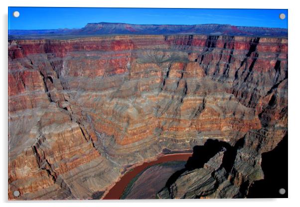 Colorado River Grand Canyon Arizona America Acrylic by Andy Evans Photos