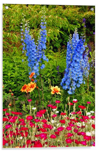 Blue Delphiniums Summer Flowers Acrylic by Andy Evans Photos