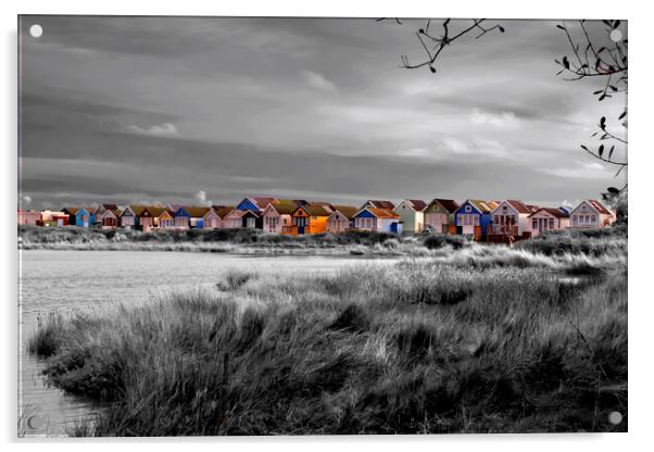 Beach Huts Hengistbury Head Bournemouth Dorset Acrylic by Andy Evans Photos