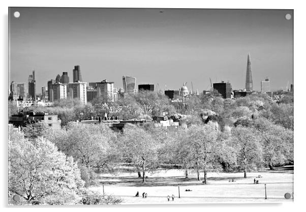 London Skyline Cityscape Primrose Hill Acrylic by Andy Evans Photos