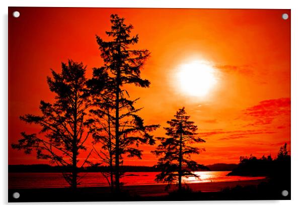 Sunset Long Beach Tofino Vancouver Island Canada Acrylic by Andy Evans Photos