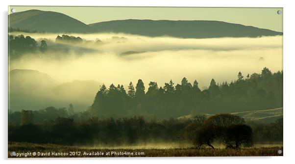 Morning Mist Acrylic by David Hancox