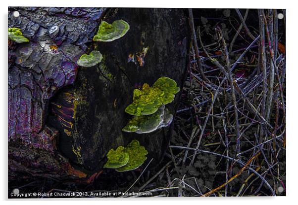 colour log Acrylic by Robert Chadwick