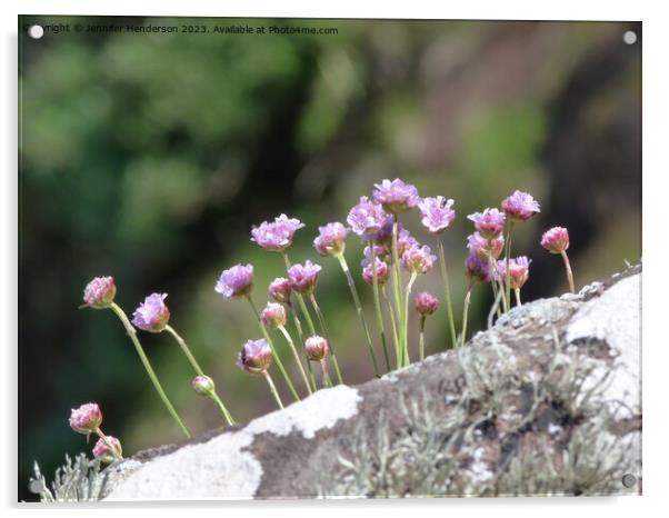 Sea Pinks Acrylic by Jennifer Henderson