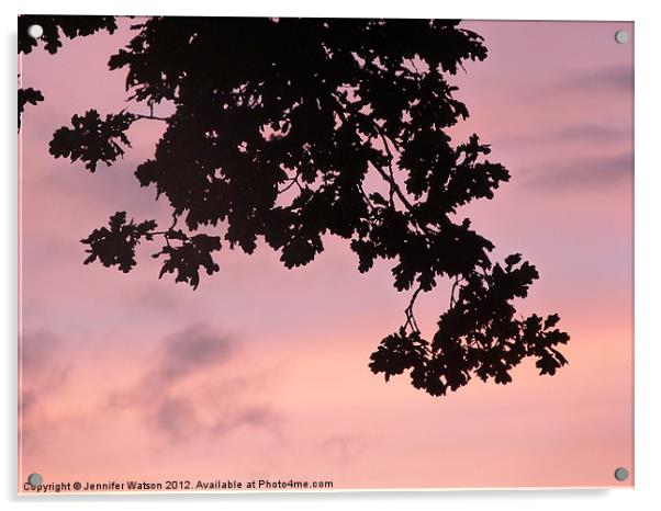 Oak Sunset Acrylic by Jennifer Henderson