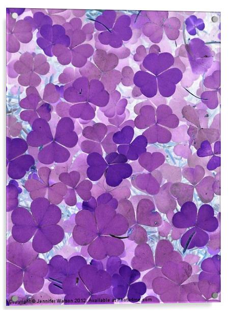 Purple forest floor Acrylic by Jennifer Henderson