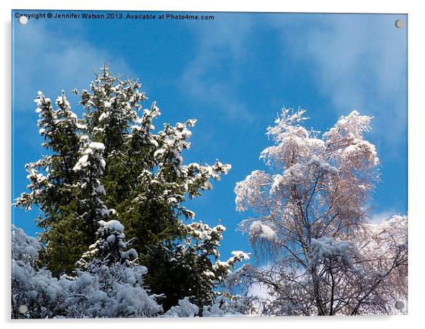 Snowy Treetops Acrylic by Jennifer Henderson