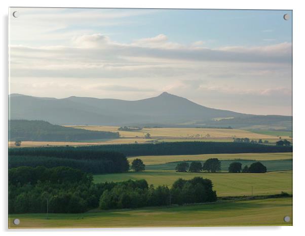 Bennachie Landscape Acrylic by Jennifer Henderson