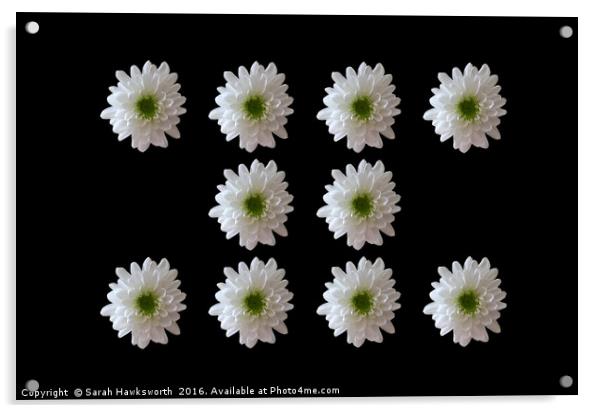 10 White Flower on Black Background Acrylic by Sarah Hawksworth